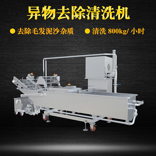 果蔬氣泡翻洗機，有效清洗，過濾泥沙