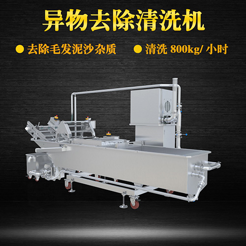 果蔬專用清洗機，氣泡清洗，清洗800kg小時