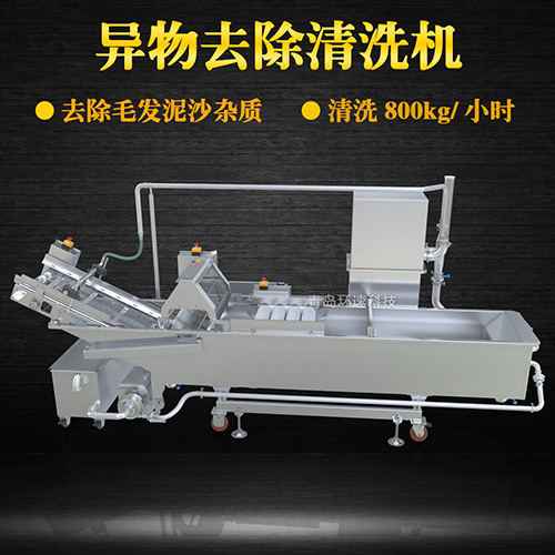 商用專業(yè)果蔬清洗機，氣泡清洗，清洗800kg小時