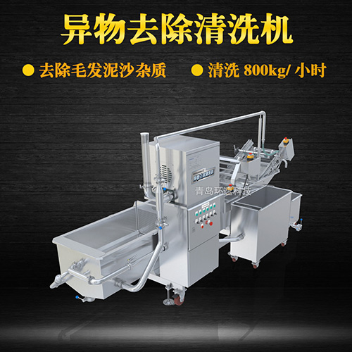 商用專業(yè)果蔬清洗機，氣泡清洗，清洗800kg小時