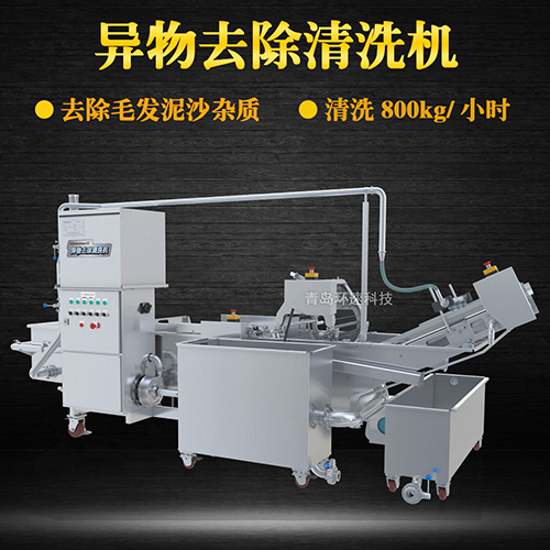 商用專業(yè)果蔬清洗機，氣泡清洗，清洗800kg小時