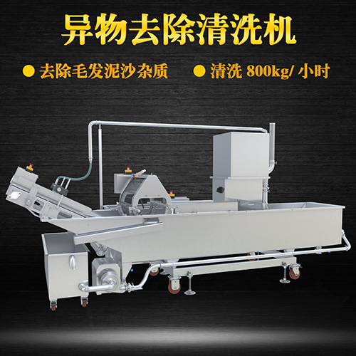 蔬菜氣泡清洗機(jī)，氣泡清洗，清洗800kg小時